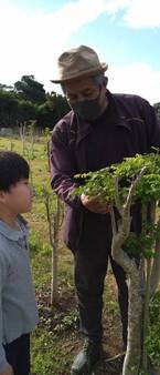 モリンガの森プロジェクト協会がモリンガチャレンジ第二弾として宮古島市と連携しモリンガ苗の無料配布を実施！