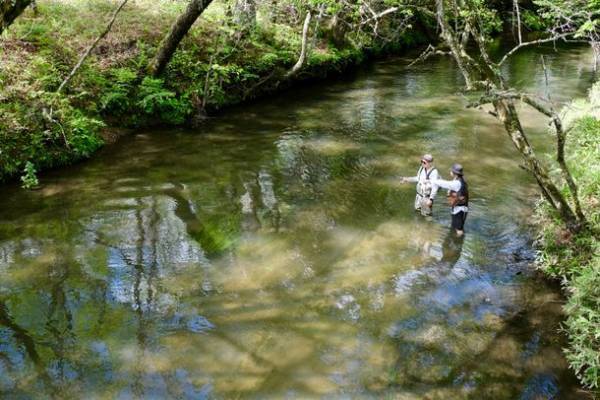 ZEN RESORT NIKKOが夏の中禅寺湖アクティビティー付き宿泊プランとフィッシングガイドツアーの営業開始！
