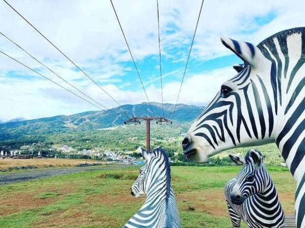 見ごたえ抜群のベゴニア畑や屋外アクティビティー！　岐阜県の「ひるがのピクニックガーデン」が7月15日オープン