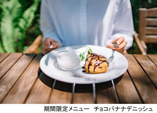 ROKKO森の音ミュージアム お盆期間限定朝のSIKIガーデン＆楽器準備公開自動演奏バイオリンの調弦など公開実演