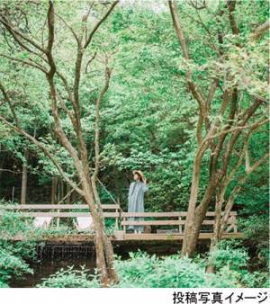 ROKKO森の音ミュージアム イベント避暑地でひんやり 森の音サマーフェア 開催香り、音色で感じる冷涼体験2023年7月3日（月）～8月25日（金）