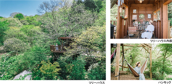 ROKKO森の音ミュージアム イベント避暑地でひんやり 森の音サマーフェア 開催香り、音色で感じる冷涼体験2023年7月3日（月）～8月25日（金）