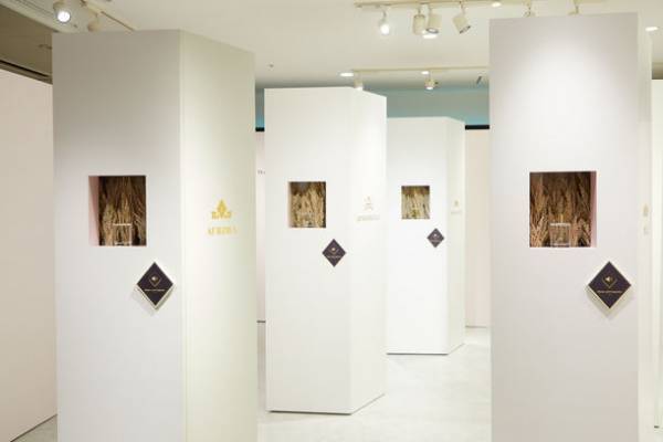 ディズニープリンセス展「WHAT IS LOVE ? ～輝くヒミツは、プリンセスの世界に。～」広島会場は2023年8月11日より、NTTクレドホールにて開催！チケットは6月23日(金)10時発売！