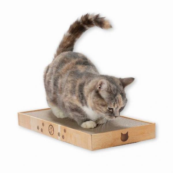 6月22日20時スタートの楽天お買い物マラソンで約90種類のラインナップを揃える猫壱のつめとぎがお得に購入可能！人気商品Best3をご紹介