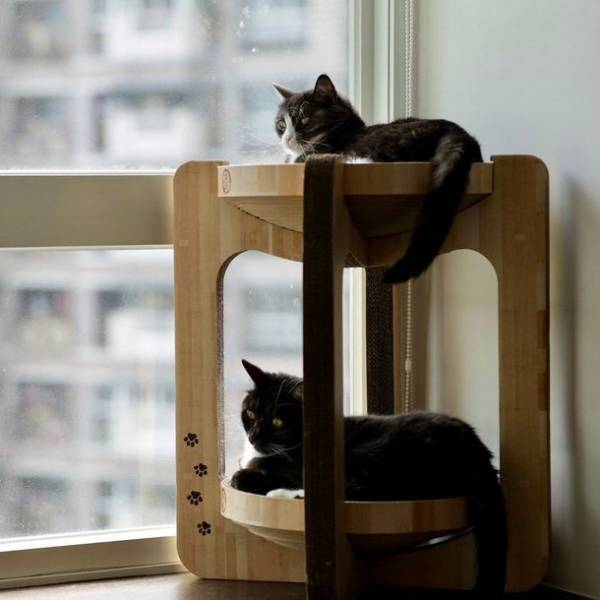 6月22日20時スタートの楽天お買い物マラソンで約90種類のラインナップを揃える猫壱のつめとぎがお得に購入可能！人気商品Best3をご紹介