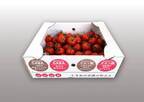 日本初！3つの機能性表示食品登録　ゴム製造会社が手掛ける伊勢丹で大好評のフルーツトマトが販売開始　昨年売上は2019年比で573％増