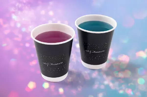 七夕の夜、天の川の下で眠る「熟睡プラ寝たリウム -88星座と夢の世界へ- 七夕Ver.」2023年7月7日～8日　2夜限定開催