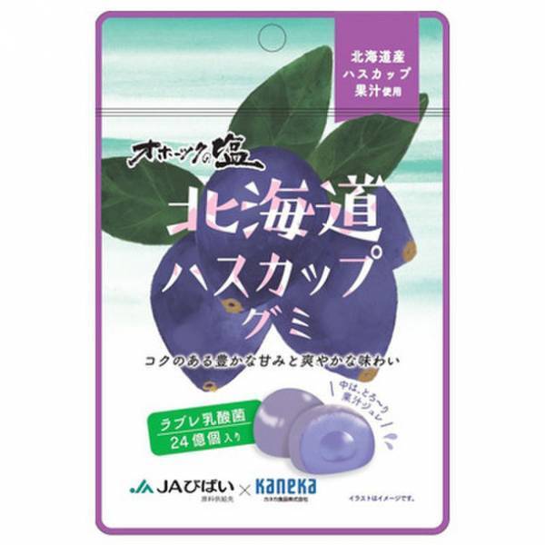 北海道グルメを味わうオリジナルおにぎりなどを販売　北の大地の魅力が大集合！北海道フェアを7月4日から開催