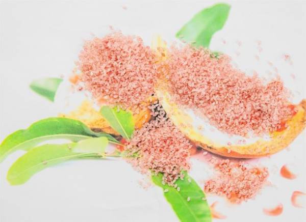 中国人観光客の慶事＆謝謝を願って、紅歓迎米「石榴紅米」を業務用に発売