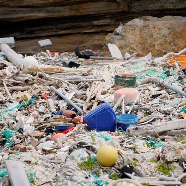 海洋プラスチックごみから再生した原料を配合！海をキレイにするランドリーバスケットがFREDDY LECKから発売