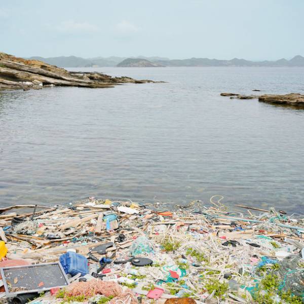 海洋プラスチックごみから再生した原料を配合！海をキレイにするランドリーバスケットがFREDDY LECKから発売