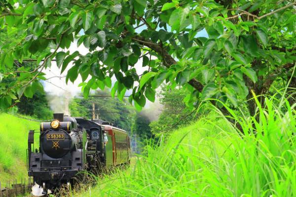 沿線レストラン×SL弁当開発プロジェクト　第5弾「彩の四季を巡るお弁当」を7/8(土)より販売　熊谷市星川通りの料理店「台所や」によるオリジナル弁当