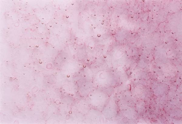 ガラス作家 汲田 日向子氏の展覧会を7月6日～31日 インセンスショップリスン京都・青山で同時開催