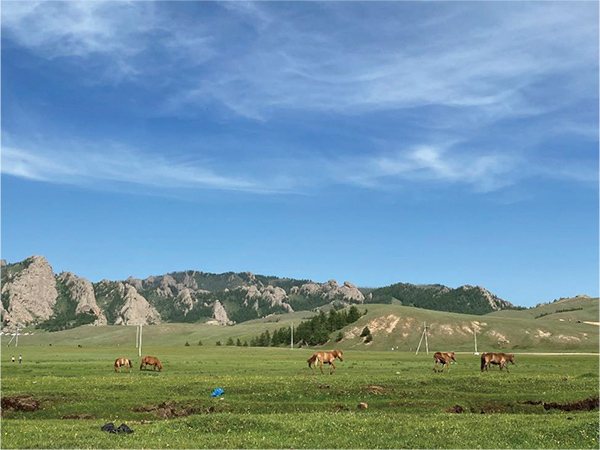 モンゴルへのみんなのイメージは？～モンゴルに関する調査結果を阪急交通社が公開～