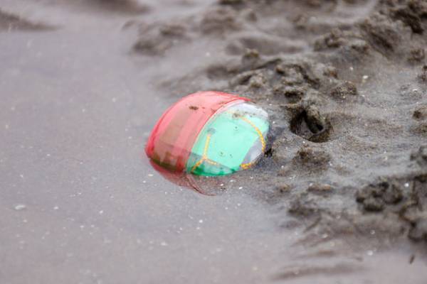 星に願いを！砂浜にお宝を！富津海岸潮干狩場で『七夕カプセル潮干狩り』を7月5日より期間限定で開催！最高7億円のお宝を“アサり”に千葉・富津海岸へGO！