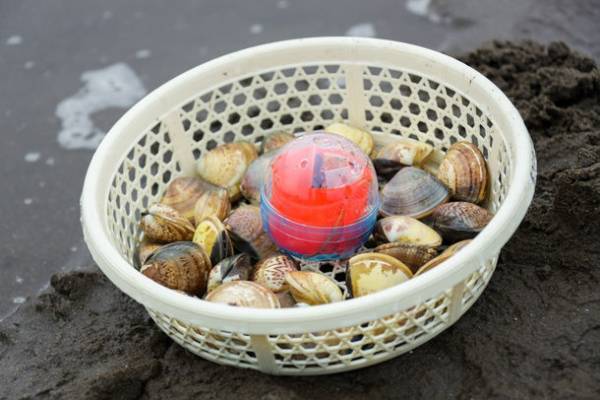 星に願いを！砂浜にお宝を！富津海岸潮干狩場で『七夕カプセル潮干狩り』を7月5日より期間限定で開催！最高7億円のお宝を“アサり”に千葉・富津海岸へGO！