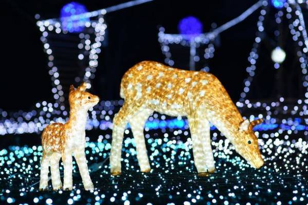 東京で奈良を知る「奈良まほろば館」7月イベント案内　奈良県中南和の魅力発信、奈良まほろば館移転2周年フェア始動