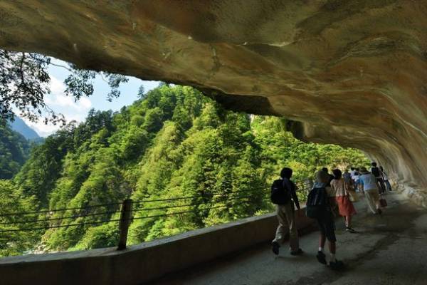 小学生のトロッコ電車運賃が無料になる「夏休みこどもデー」割引　黒部峡谷トロッコ電車が7月22日(土)から8月10日(木)まで実施