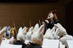 動物たちのオーケストラ《ズーラシアンフィルハーモニー管弦楽団》「2023ズーラシアンブラス サマー・ミュージック・フェスティバル」8月に大阪・東京で開催！
