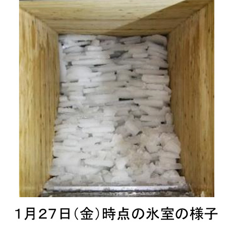 7月13日（木）六甲山 夏の風物詩「氷室開き」を自然体感展望台 六甲枝垂れで開催！体験型アート作品も好評展示中！