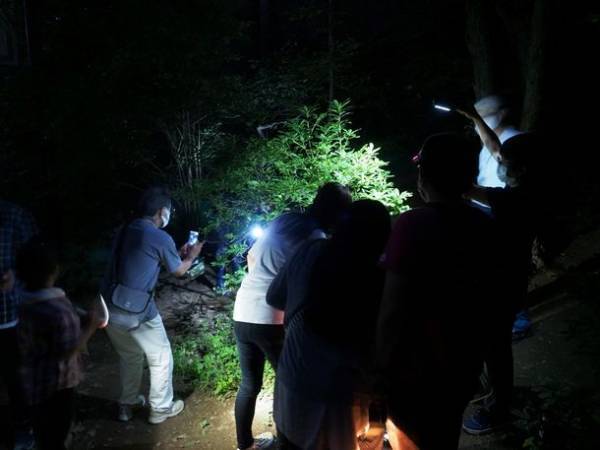 夏夜の夕涼み会！年2回の“ナイトPARADA”　長野県・佐久平ハイウェイオアシス「パラダ」で7月16日(日)＆7月29日(土)開催