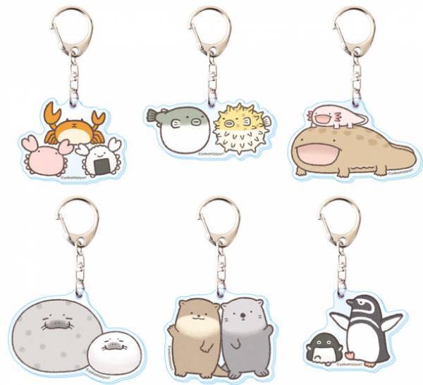 “夏の特別展”を7/22から開催　『よこみぞゆりのなんでもいきものパーク in しながわ水族館』