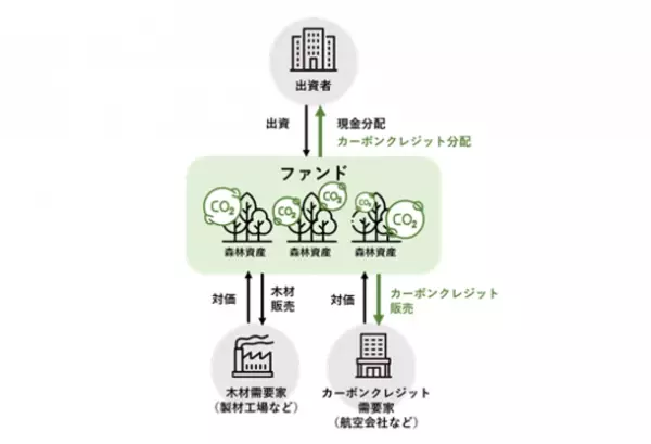 森林ファンド「Eastwood Climate Smart Forestry Fund I」が運用開始　～ユニ・チャームを含む日本企業10社が出資～