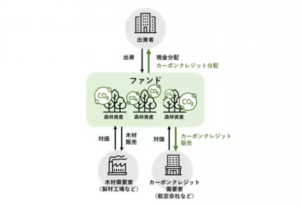 森林ファンド「Eastwood Climate Smart Forestry Fund I」が運用開始　～ユニ・チャームを含む日本企業10社が出資～