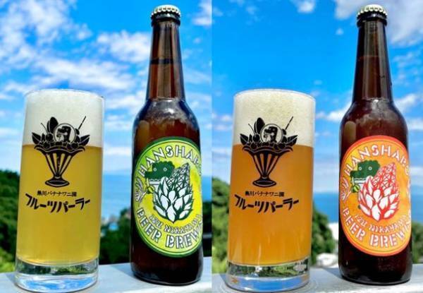 お待たせしました！開園65周年の思いを込めて熱川バナナワニ園の自慢の園内産完熟バナナとパパイヤを使用したクラフトビールが今年はビアスタイルを変更して7月6日から数量限定で発売！