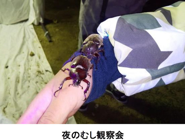 六甲高山植物園 × 伊丹市昆虫館夏休みイベント「しょくぶつ と むし」7/15（土）～9/24（日）開催！