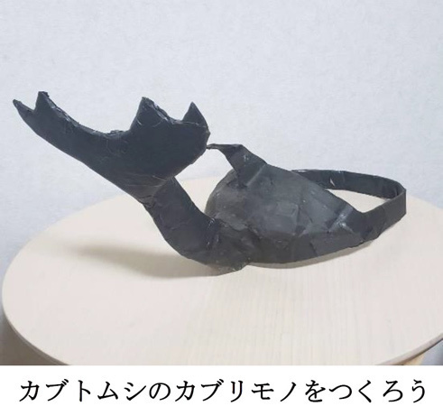 六甲高山植物園 × 伊丹市昆虫館夏休みイベント「しょくぶつ と むし」7/15（土）～9/24（日）開催！