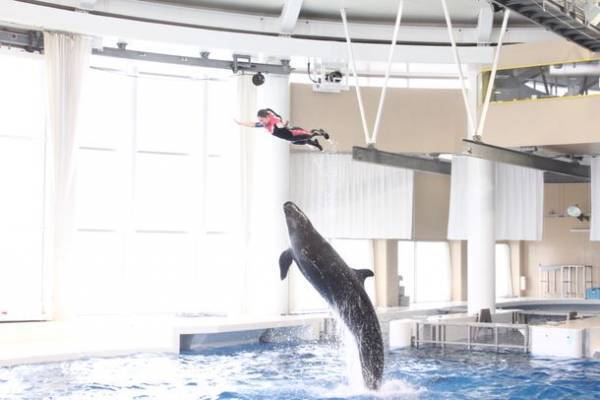 “オーシャンテラス”で生き物たちと一緒に、きらきら輝く夏を楽しもう「SUMMER AQUAWORLD　2023」2023年7月15日(土)～8月27日(日)