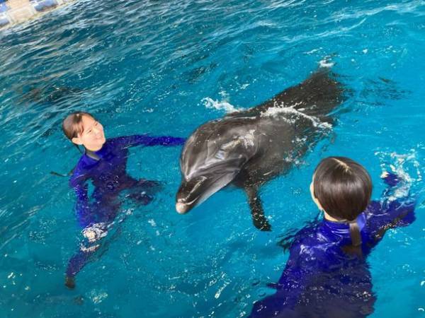 “オーシャンテラス”で生き物たちと一緒に、きらきら輝く夏を楽しもう「SUMMER AQUAWORLD　2023」2023年7月15日(土)～8月27日(日)