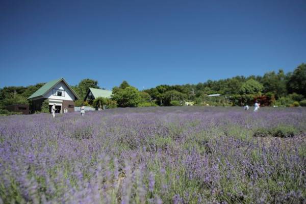 長野県小諸市内の店舗、公共施設を会場に　アニメ「あの夏で待ってる」街中メモリアル展 in 小諸を開催