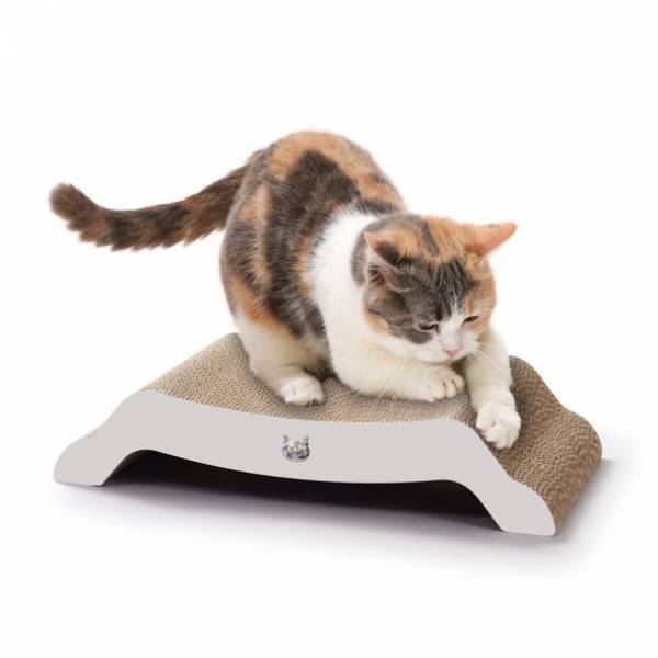 7月11日～12日に開催されるAmazon プライムデーに猫壱のつめとぎが登場！Amazon限定の商品もセール価格で販売