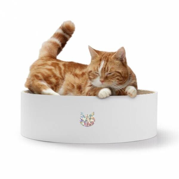 7月11日～12日に開催されるAmazon プライムデーに猫壱のつめとぎが登場！Amazon限定の商品もセール価格で販売