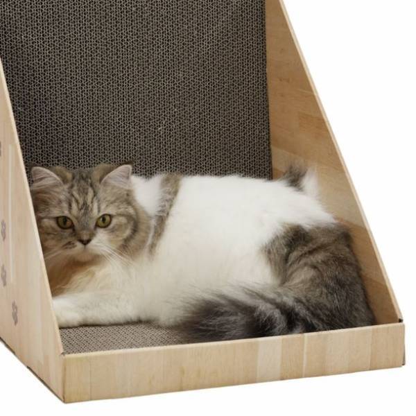 7月11日～12日に開催されるAmazon プライムデーに猫壱のつめとぎが登場！Amazon限定の商品もセール価格で販売