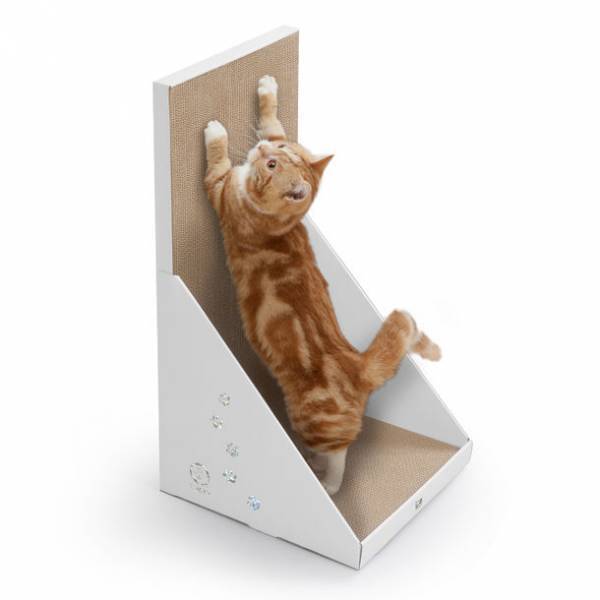7月11日～12日に開催されるAmazon プライムデーに猫壱のつめとぎが登場！Amazon限定の商品もセール価格で販売