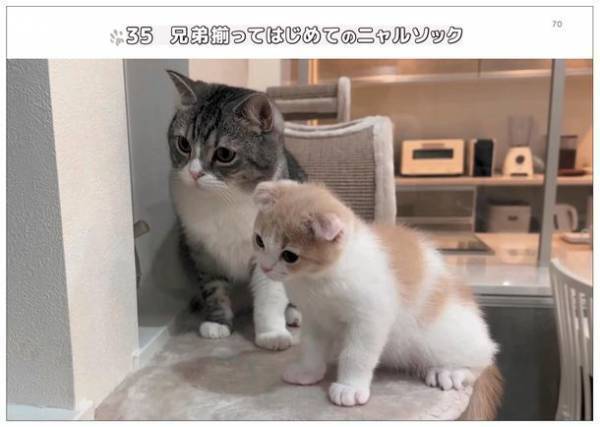 「もちまる」をじっくり見てまちがいを見つけよう！！チャンネル登録者数210万人、大人気YouTube「もちまる日記」まちがい探しの本が7月10日より予約受付開始！