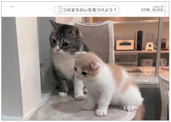 「もちまる」をじっくり見てまちがいを見つけよう！！チャンネル登録者数210万人、大人気YouTube「もちまる日記」まちがい探しの本が7月10日より予約受付開始！