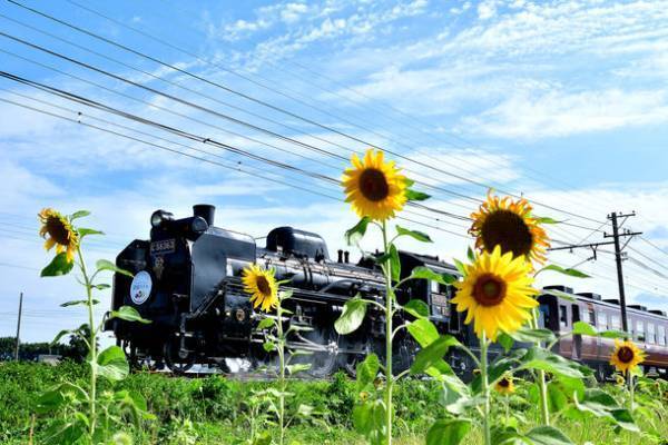 SLパレオエクスプレスの車内販売にて夏季限定「SLパレオの焼きカリーぱん」を7月8日より販売開始