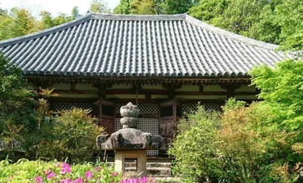 【奈良交通】定期観光バス「奈良交通創立８０周年記念特別コース」の発売について