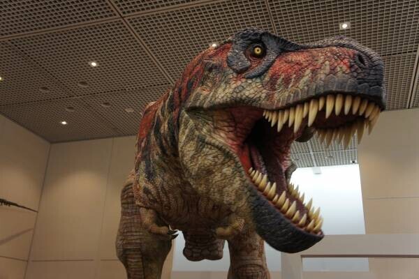 2024年春、オダイバに恐竜が初襲来！「オダイバ恐竜博覧会2024」開催決定！2024年春、北陸新幹線福井・敦賀開業とともに、ヤツラが新幹線に乗って、東京・お台場にやってくる！！
