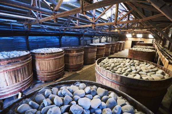 愛知・桝塚味噌が夏休みの読書感想文をお助けするみそ蔵ツアーを開催　小学校の課題図書「ライスボールとみそ蔵と」の出版社公認