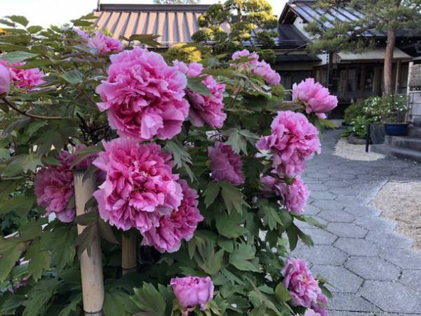 秩父鉄道で幸せを呼ぶ列車旅「ちちぶ御朱印めぐり」開催中　7月15日よりオリジナル木札ストラップをリニューアル