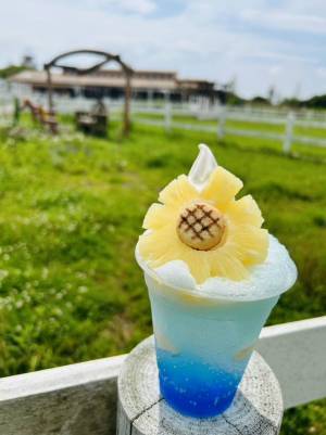 ソレイユの丘に今年も熱い夏がやってきた！「ソレイユの丘2023 太陽の丘サマーフェス」が7月20日（木）に開幕わすれられない、ソレイユの夏がはじまる！