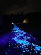 オープン1年で宮城から鹿児島までの2,025名の方がご宿泊　アート型グランピング「レドンド秋吉台」が光のアート第2弾をリリース！
