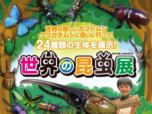 【近鉄百貨店 四日市店】世界の珍しいカブトムシ・クワガタムシに会える！世界の昆虫展