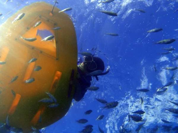 長崎に特化した体験予約サイト「長崎ツアーズ」で伊王島手ぶらBBQや、体験ダイビング、九十九島の無人島シュノーケリングが受付開始！