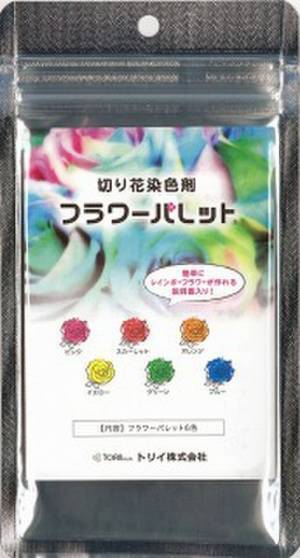 満開に咲かせたキクと、トリイが販売する切り花染色剤「フラワーパレット(R)」が合体した、「1日でできる自由研究キット」が日本一の花の生産地田原市の花の定期便タハナより発売